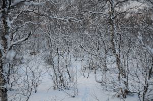 DSC_5798