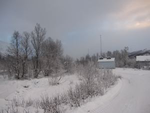 IMG_1924