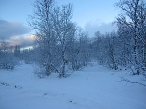 IMG_1927