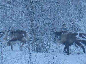 IMG_1930
