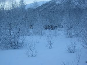 IMG_1932
