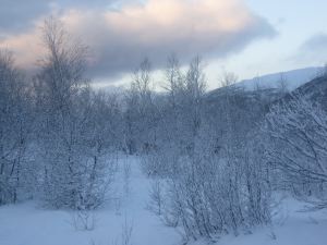 IMG_1934