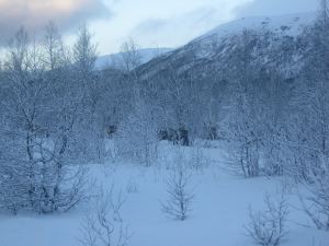 IMG_1935