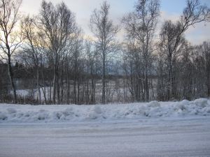 IMG_1937