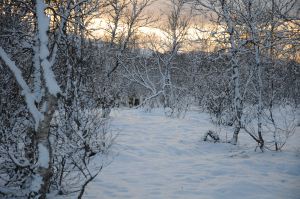 DSC_5675