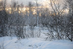 DSC_5703