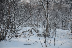 DSC_5705