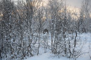 DSC_5706