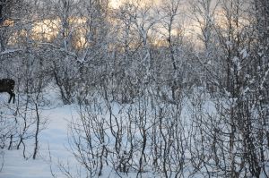 DSC_5711