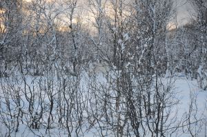 DSC_5714