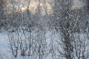 DSC_5715