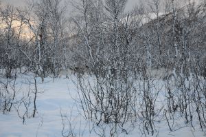 DSC_5717
