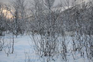 DSC_5718