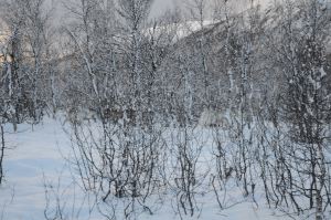 DSC_5720
