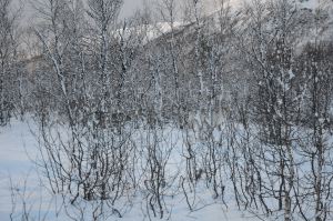 DSC_5722