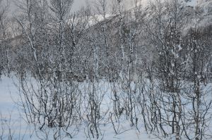 DSC_5723