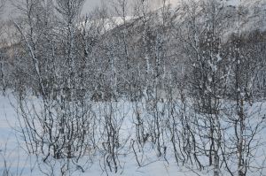DSC_5724