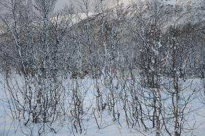 DSC_5725