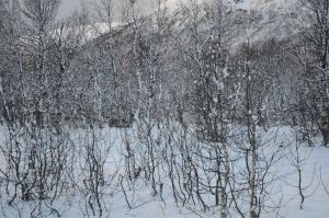 DSC_5727