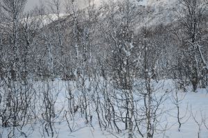 DSC_5728