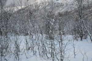 DSC_5729