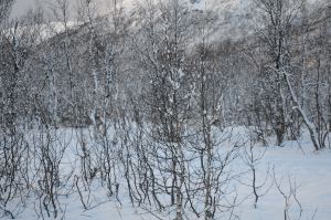 DSC_5730