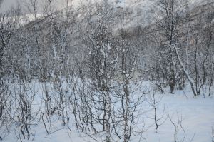 DSC_5731