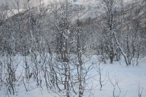 DSC_5732