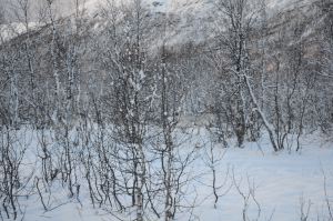 DSC_5733