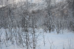 DSC_5734