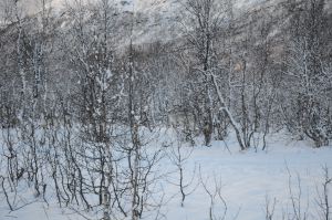 DSC_5735