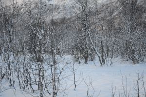 DSC_5736
