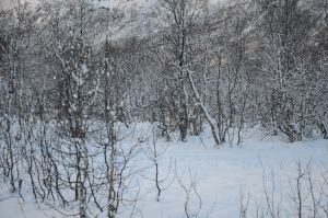 DSC_5737