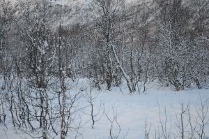 DSC_5738
