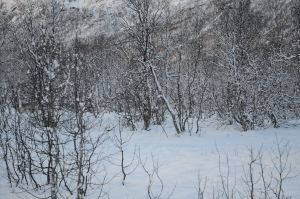 DSC_5739
