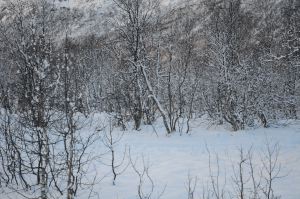 DSC_5740