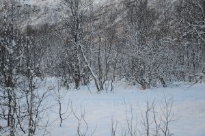 DSC_5742