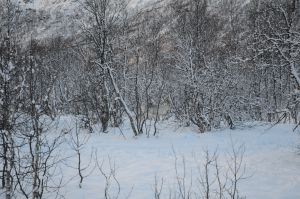 DSC_5743