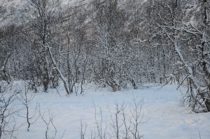 DSC_5746