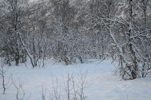 DSC_5749