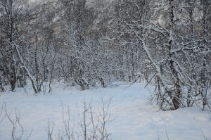 DSC_5750