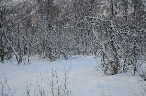 DSC_5752