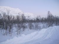 IMG_2561