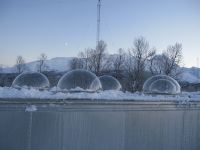 IMG_2616