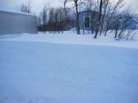 IMG_2905