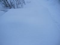 IMG_3216