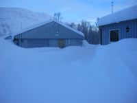 IMG_3303