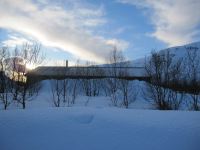 IMG_3833