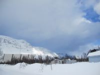 IMG_3799