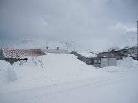 IMG_3800